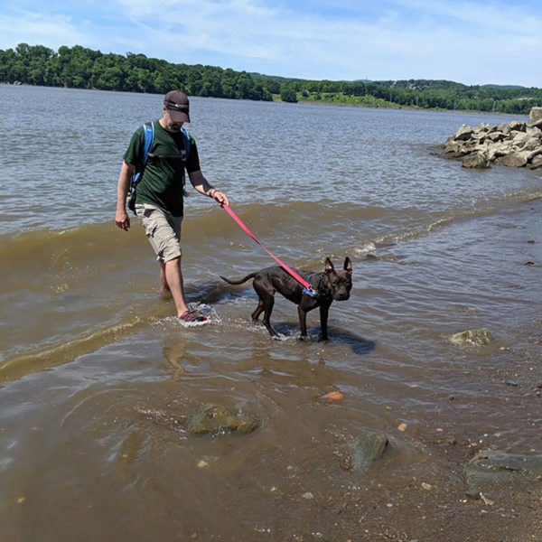 A Good Dig Rescue